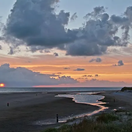 De Pelikaan Texel * דה קוח